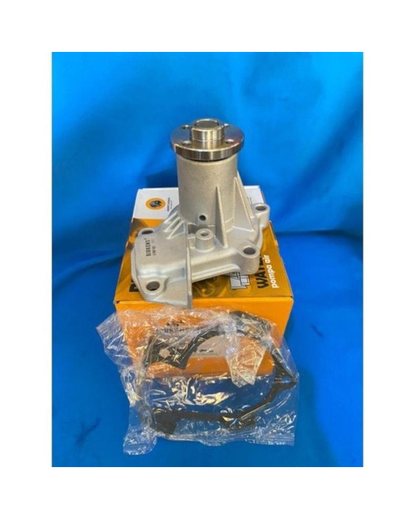 Water Pump S89/CLAASY/ESPASS 1.3