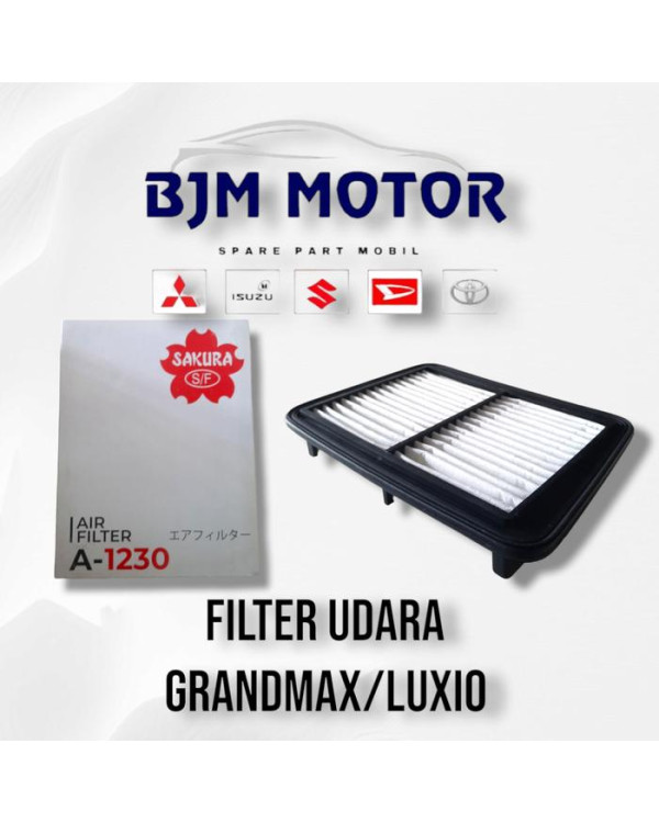 Filter Udara GrandMax/Luxio